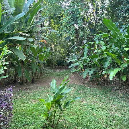 White Son House, A Pasos De La Playa, 50Mg Wifi Villa Punta Uva Exterior photo