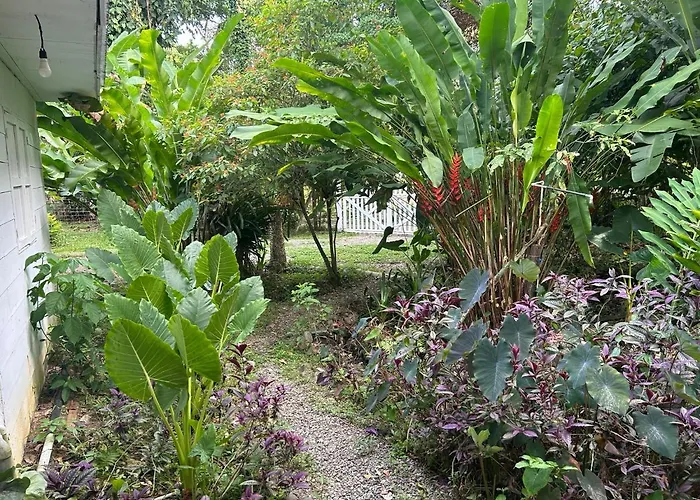 White Son House, A Pasos De La Playa, 50Mg Wifi