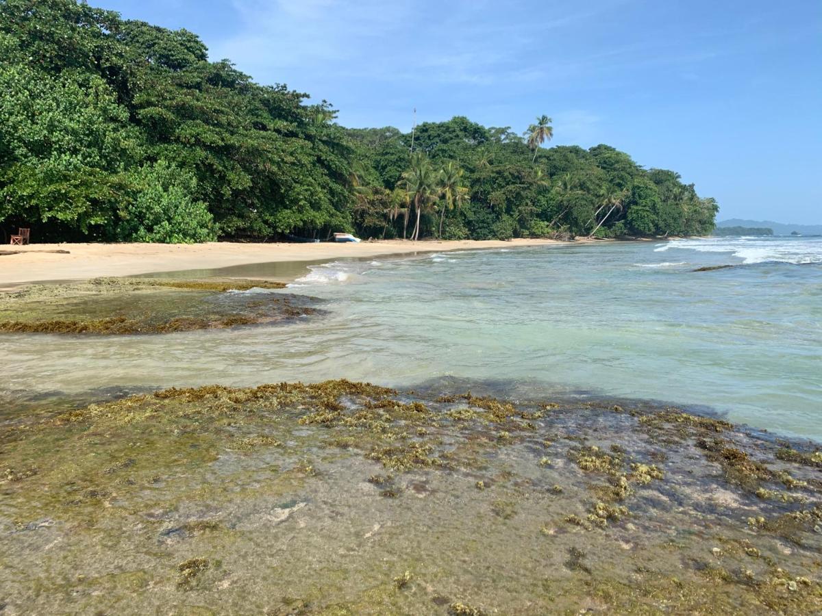 Holiday home White Son House, A Pasos De La Playa, 50mg Wifi Punta Uva