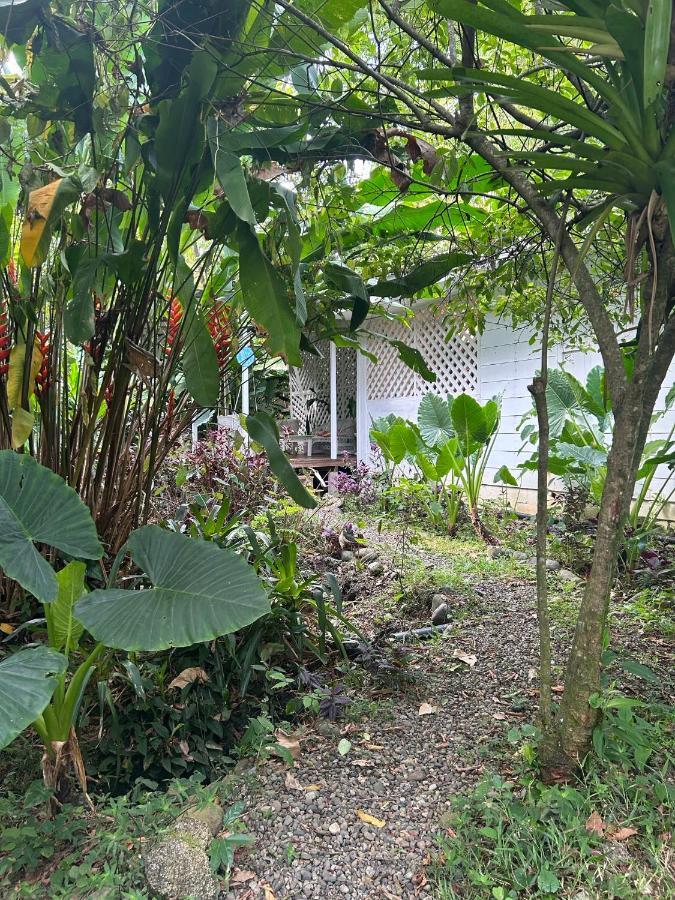 Holiday home White Son House, A Pasos De La Playa, 50mg Wifi *