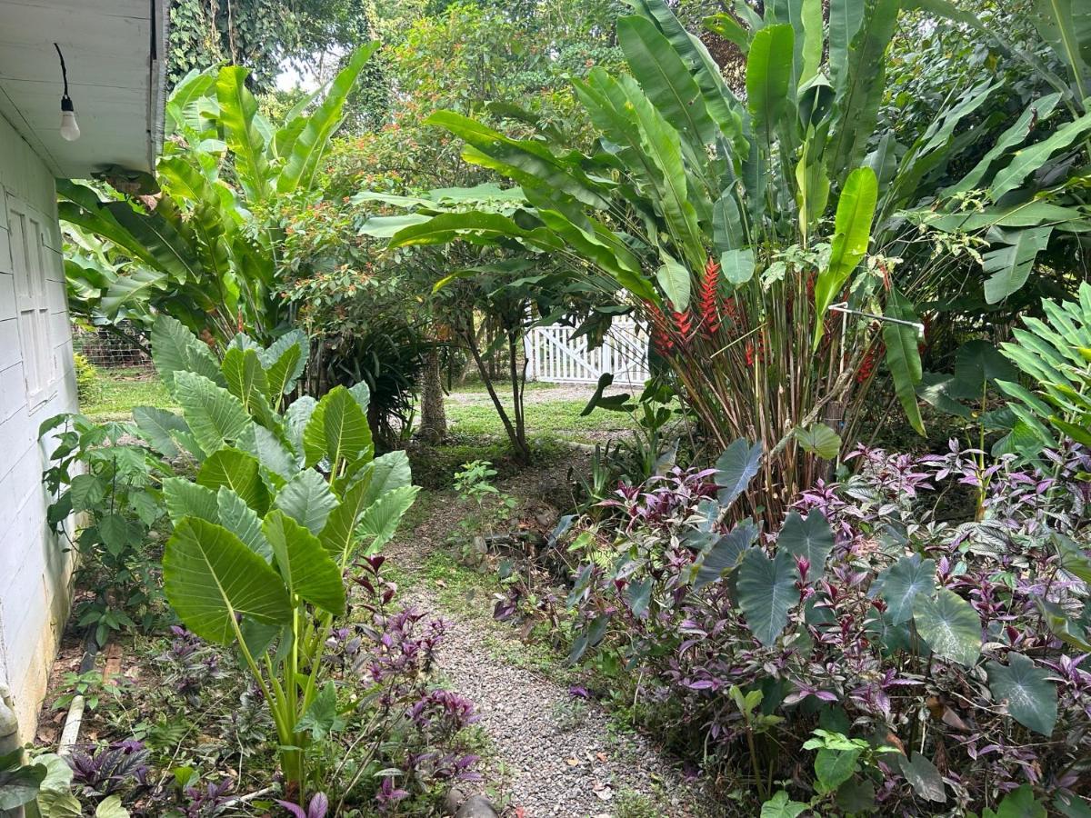 Holiday home White Son House, A Pasos De La Playa, 50mg Wifi Punta Uva