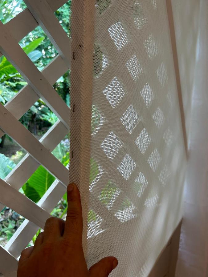 White Son House, A Pasos De La Playa, 50mg Wifi Holiday home