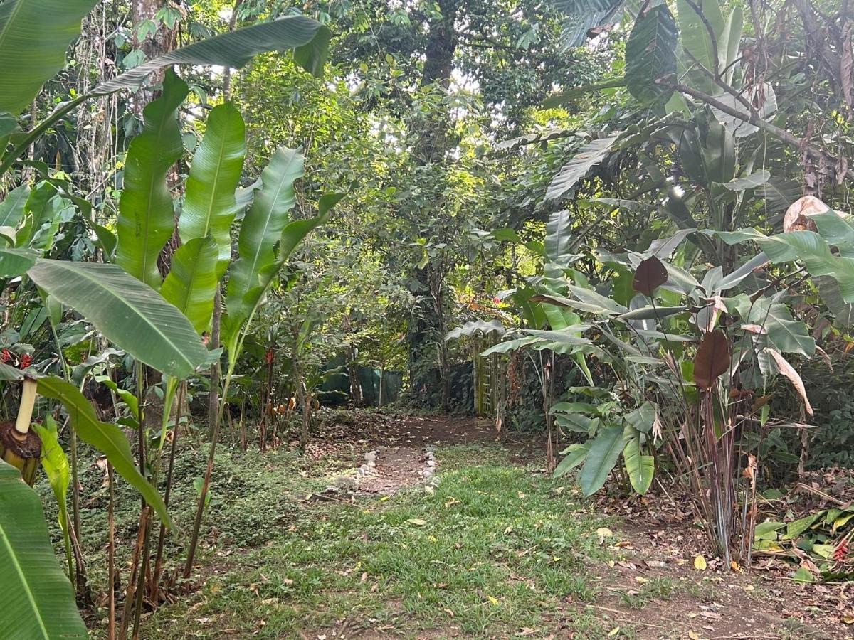 White Son House, A Pasos De La Playa, 50mg Wifi