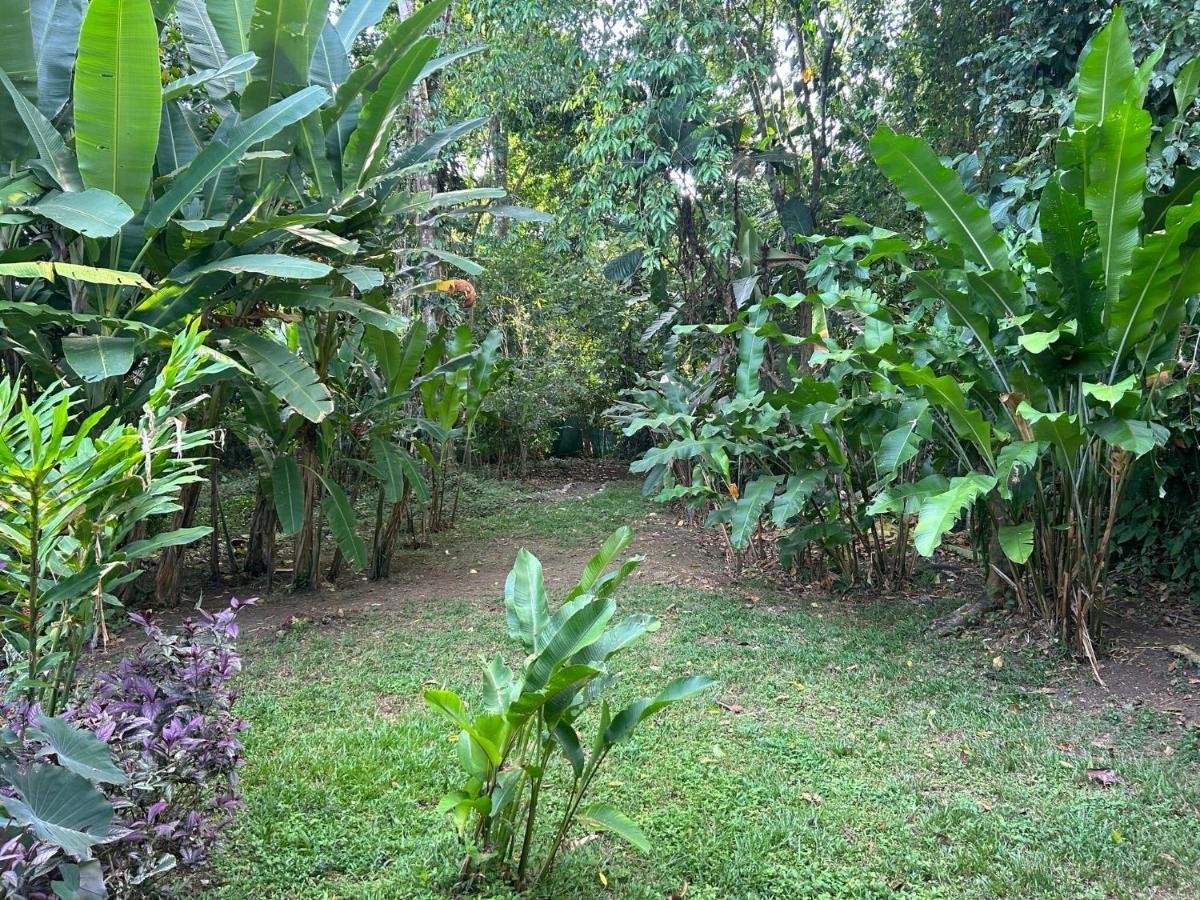 White Son House, A Pasos De La Playa, 50mg Wifi * Punta Uva