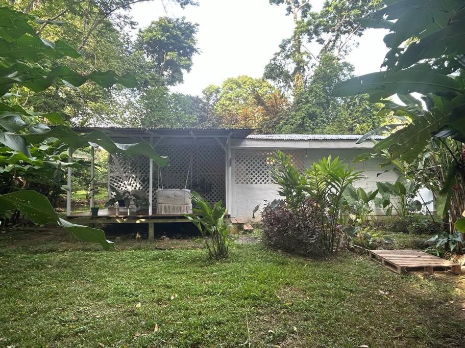 White Son House, A Pasos De La Playa, 50mg Wifi